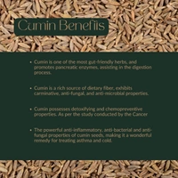 Cumin Whole - 100 Gm