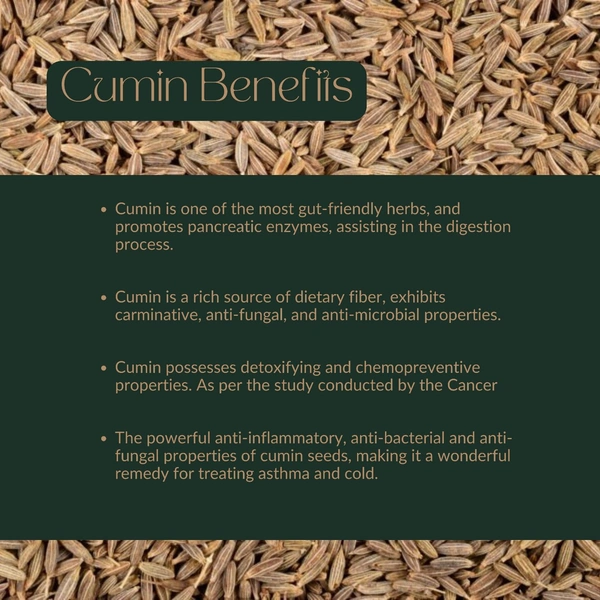 Cumin Whole - 100 Gm