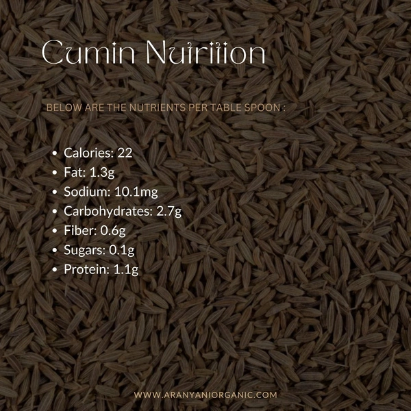 Cumin Whole - 100 Gm