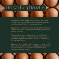 Brown eggs (5) - 5 Pices