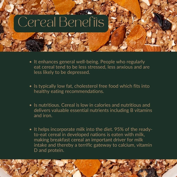 Dark Chocolate & Apricot Cereal - 1kg