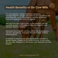 A2 Gir Cow Milk 1 L - 1 Day
