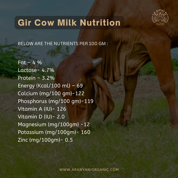 A2 Gir Cow Milk 1 L - 1 Day