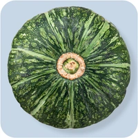 Green Pumpkin  - 1kg