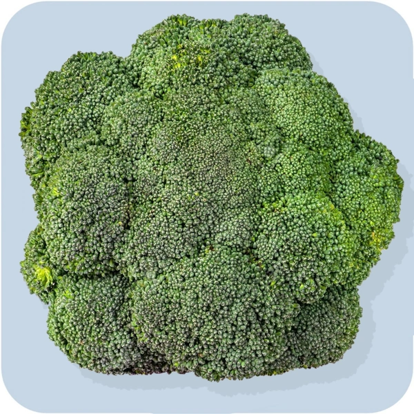 Brocolli 