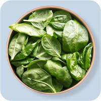 Green Spinach