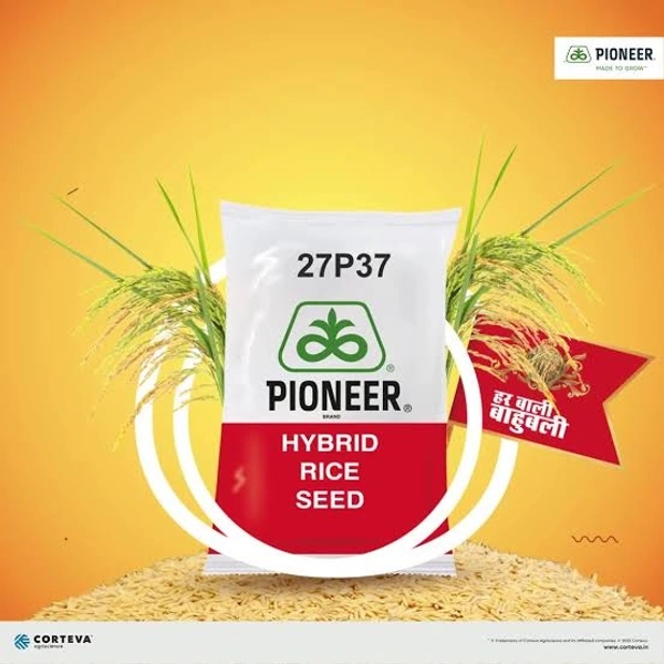 PIONEER 27p37 - 3kg