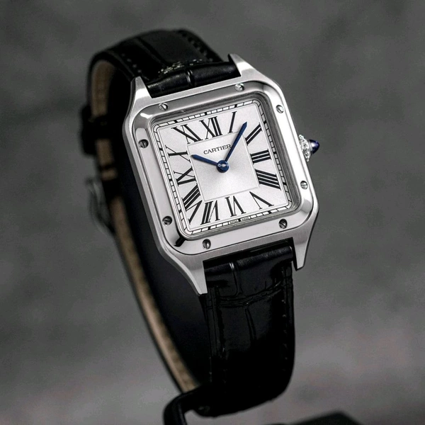CARTIER SANTOS SILVER HOT SALE