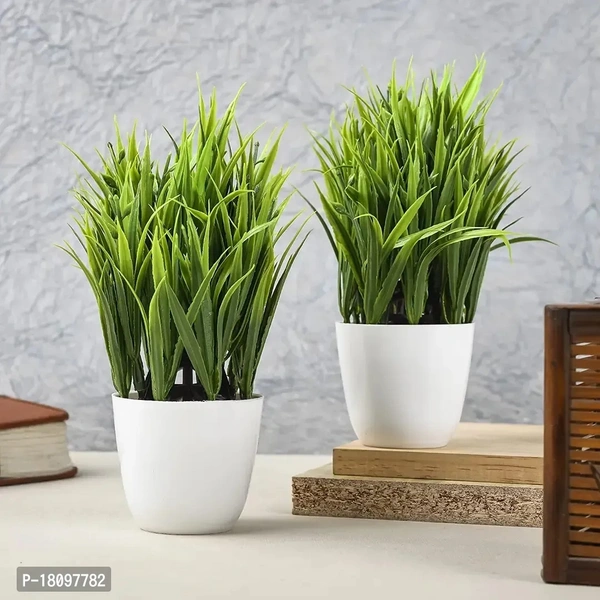 Gallery Mini Artificial Plants