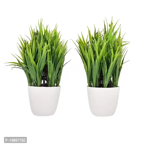 Gallery Mini Artificial Plants