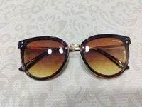 Sa 005 - Brown