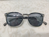 Rafa Polarized 797 - Gray