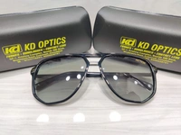 Fiction Polarized 5006 - Black