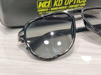 Fiction Polarized 5006 - Black