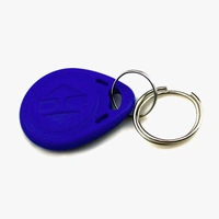 EM4100 125khz RFID Key Fob (RFID Tag) Q5 C6