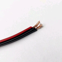 Speaker Cable Wire (1 Meter) - Good Quality Q17 C2