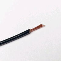 PVC Cable 1 sq mm Multi strand wire -1 Meter (Black) Q17 C2