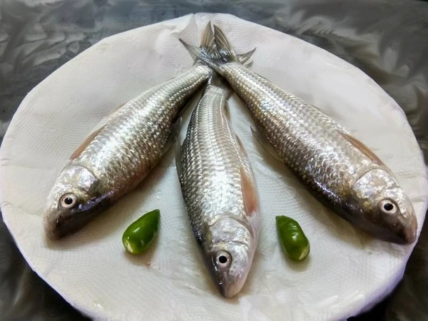 Bata Fish (Janto) - 1 KG