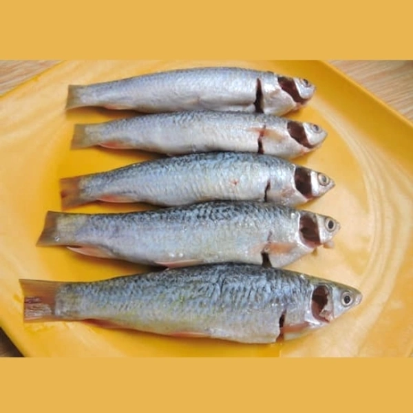 Bata Fish (Janto) - 500 Grams