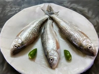 Bata Fish (Janto) - 500 Grams