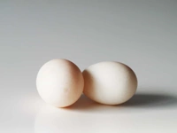 Duck Egg - 6 Pic