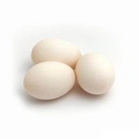 Duck Egg - 6 Pic