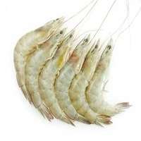 Chabra Chingri Big Size (Prawns) - 300 Grams