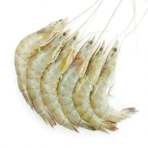 Chabra Chingri Big Size (Prawns) - 300 Grams