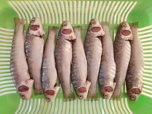 Bata Fish (Janto) - 1 KG