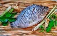 Original Tilapia Fish (Janto) - 1 KG