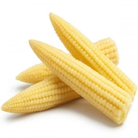 Baby Corn - 500 Grams