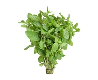 Mint Leavs (Pudina) - 1 Bunch, 70-90Grams