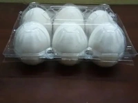 DR HEN Premium White Egg (RICH PROTINE) - 12 Pic