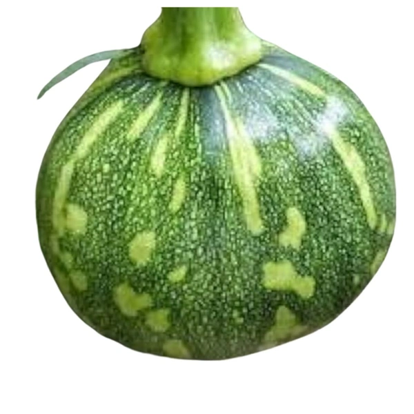 Baby Pumpkin - 1 Pic