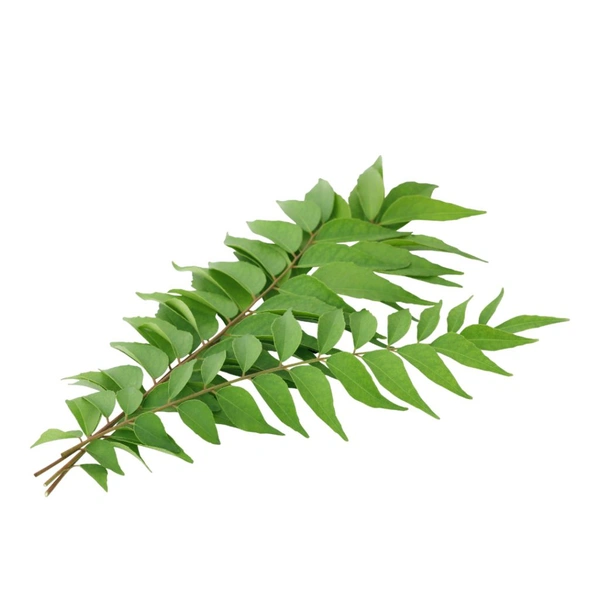 Curry Leaves - 1 Bunch