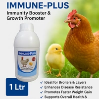 Immunity booster & Growth Promoter by Global Biotech Immune Plus - 1 ltr