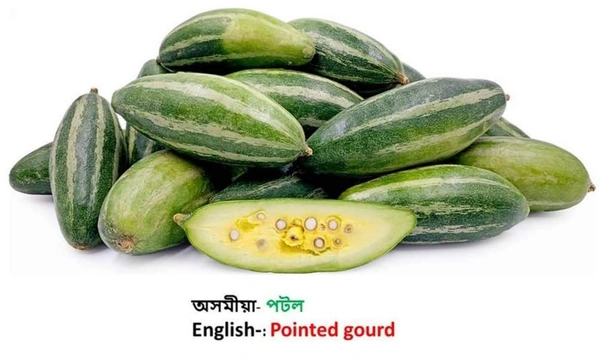  পটল (Pointed Gourd) 500 Gram - 500Grm