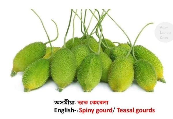 ভাত কেৰেলা ( Spiny / Gourd ) 500 Grams