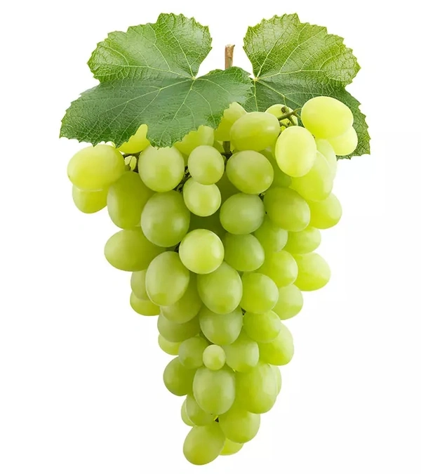 Grapes ( আঙুৰ ) - 250GRM
