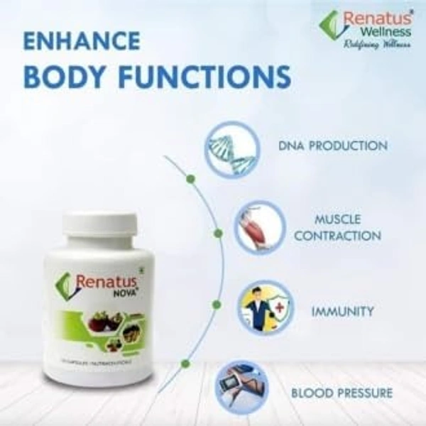 Renatus Wellness  Renatus Nova Capsules | Nutraceutical Supplement| 120 Capsule | ORIGINAL  - 120 Capsules, 24 Months