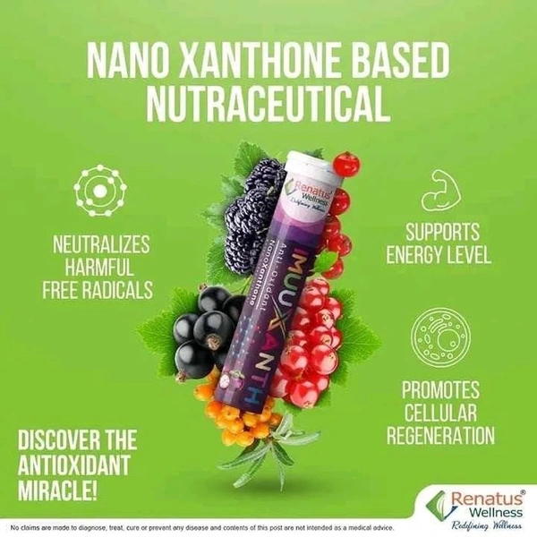 Renatus Wellness ImuuXanth Anti - Oxidant | NanoXanthone Based Nutraceutical - 30 Pcs, 24 Months