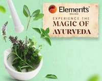 Elements On & On Herbal Toothpaste - 150gm | Helps to maintain strong gums & teeths | Herbal Tooth Paste ( Pack of 2) - 2 X 150gm, 24 Months