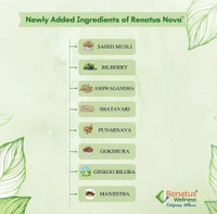 Renatus Wellness  Renatus Nova Capsules | Nutraceutical Supplement| 120 Capsule | ORIGINAL  - 120 Capsules, 24 Months
