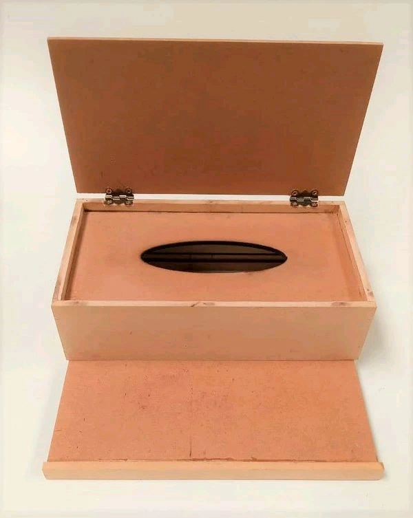 Unique Foldable Tissue Holder Box - 11/5/4"