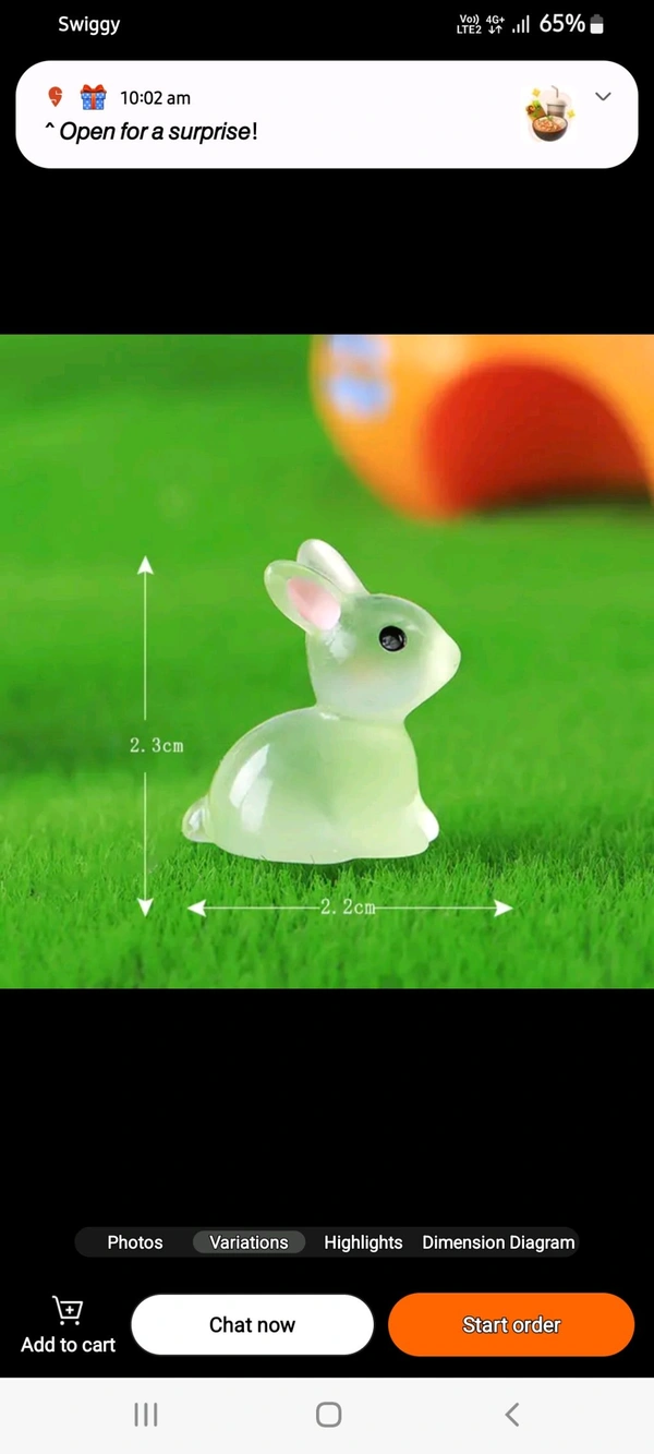 Glow In Dark Rabbit-8 Pcs