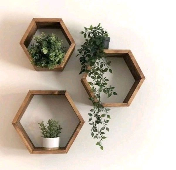 Wooden Hexagon Wall Frame Set/ Wall Shelf