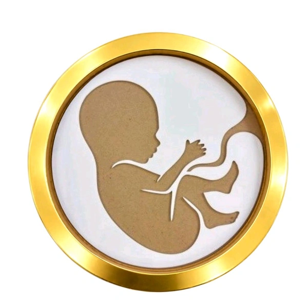 Mdf Baby In Womb Resin Preservation Frame / Pregnancy Announcement Frame/ Baby Birth Details Preservation Frame - 15"