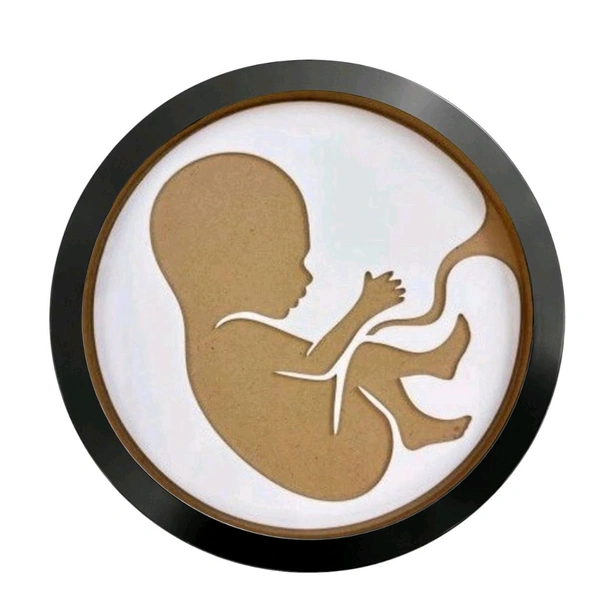 Mdf Baby In Womb Resin Preservation Frame / Pregnancy Announcement Frame/ Baby Birth Details Preservation Frame - 18"