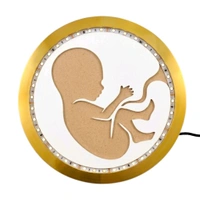 LED Baby In Womb Resin Preservation Frame - 12"