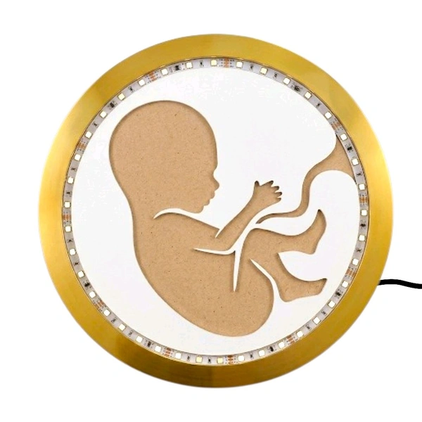 LED Baby In Womb Resin Preservation Frame - 12"
